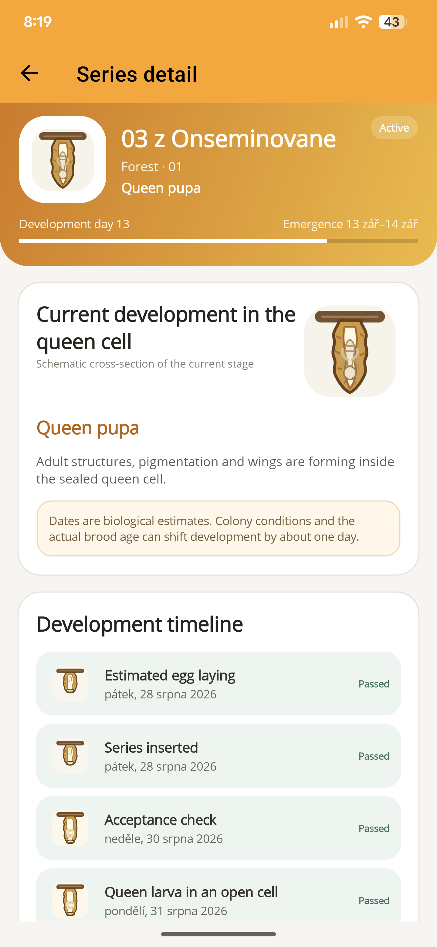 ApiNote queen-rearing series showing the pupal stage, estimated emergence window and development timeline