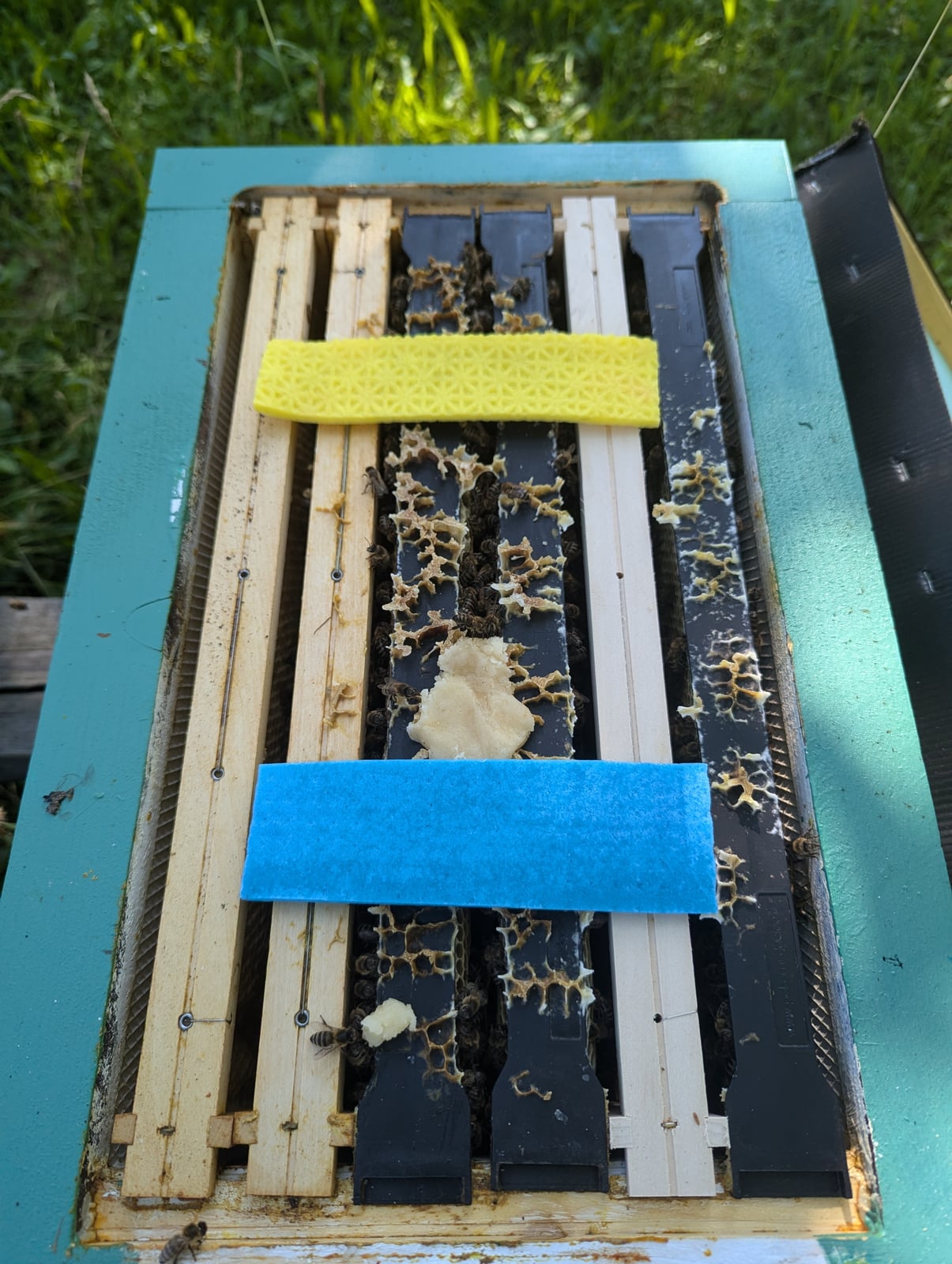 Open nucleus hive with frames and coloured pads